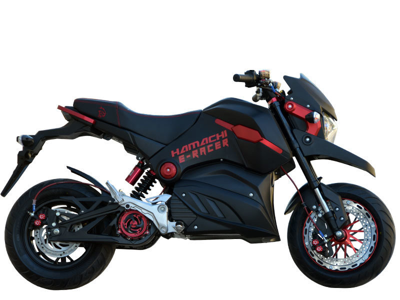 Hamachi E-RACER