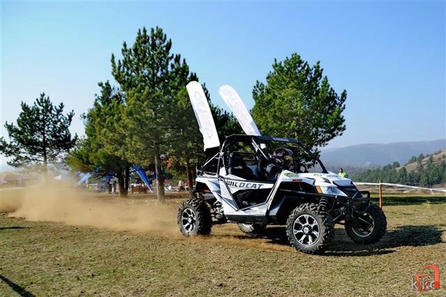 Arctic Cat WILDCAT 1000