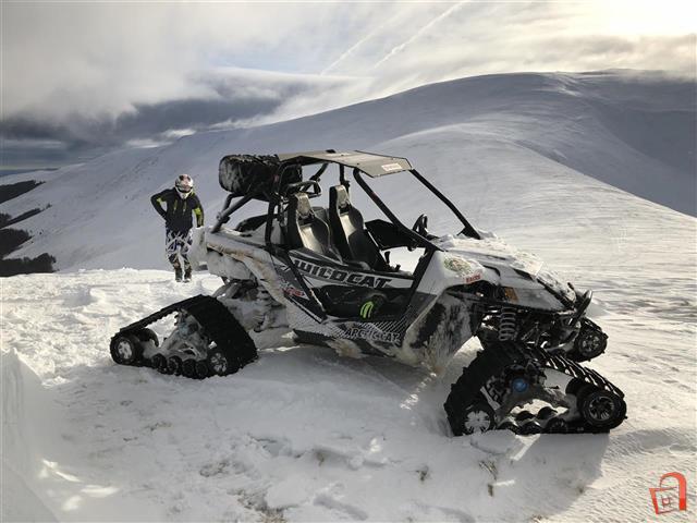 Arctic Cat WILDCAT 1000