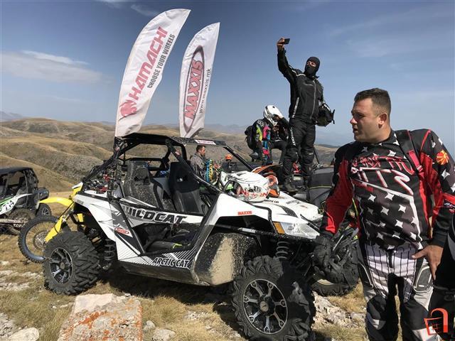 Arctic Cat WILDCAT 1000