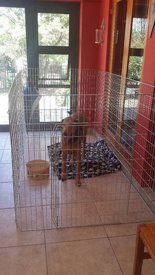 Playpens
