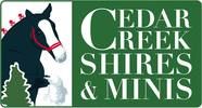Cedar Creek Shires & Minis