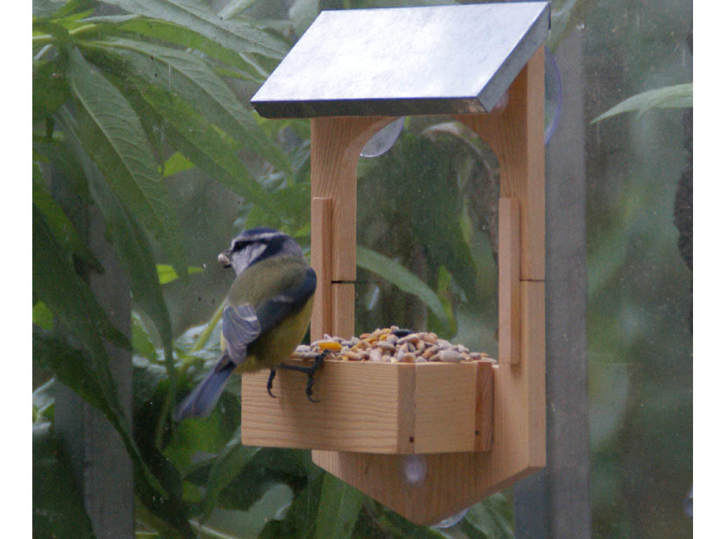 Build Your Own Bird Feeder