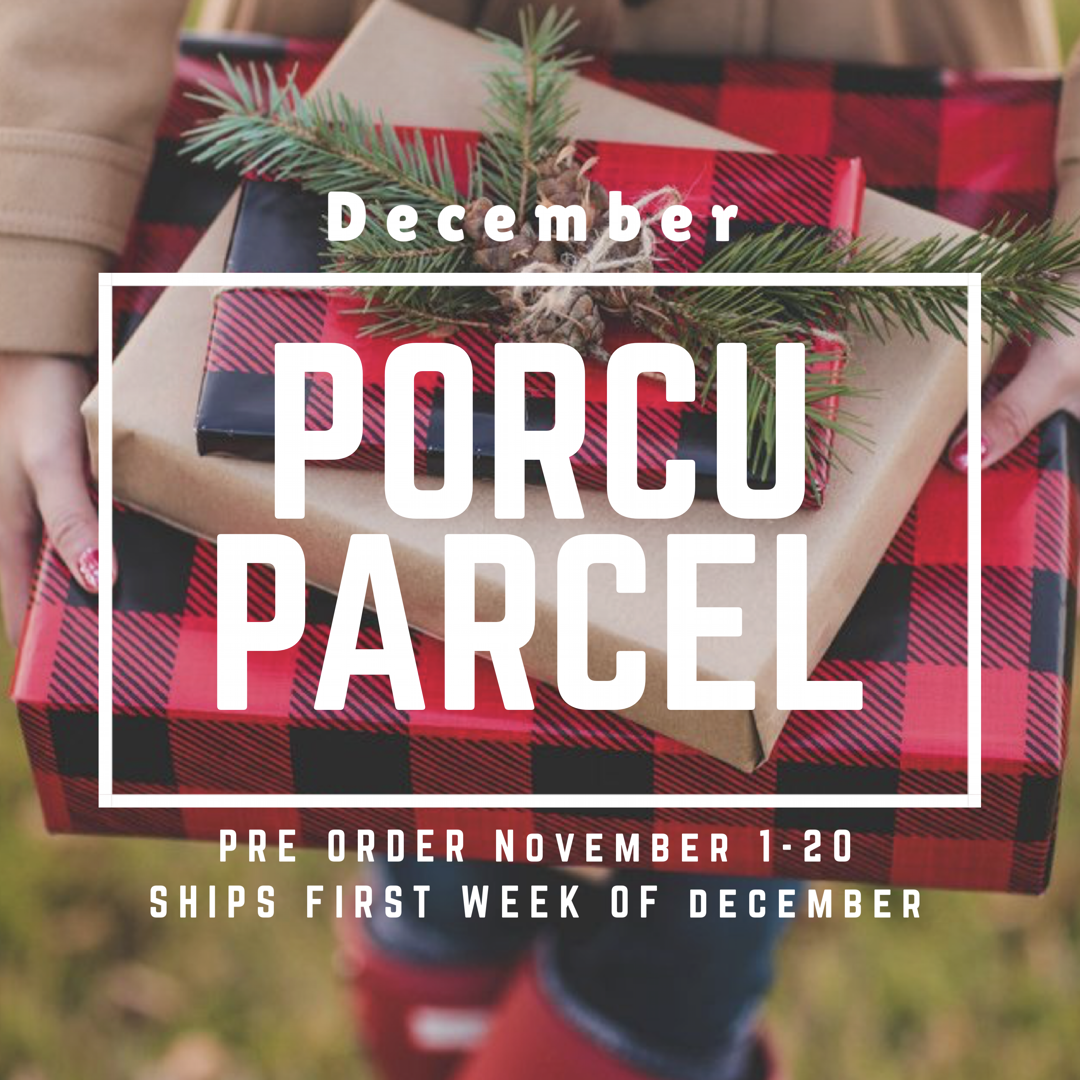 The Porcuparcel Style Box - December 999999753