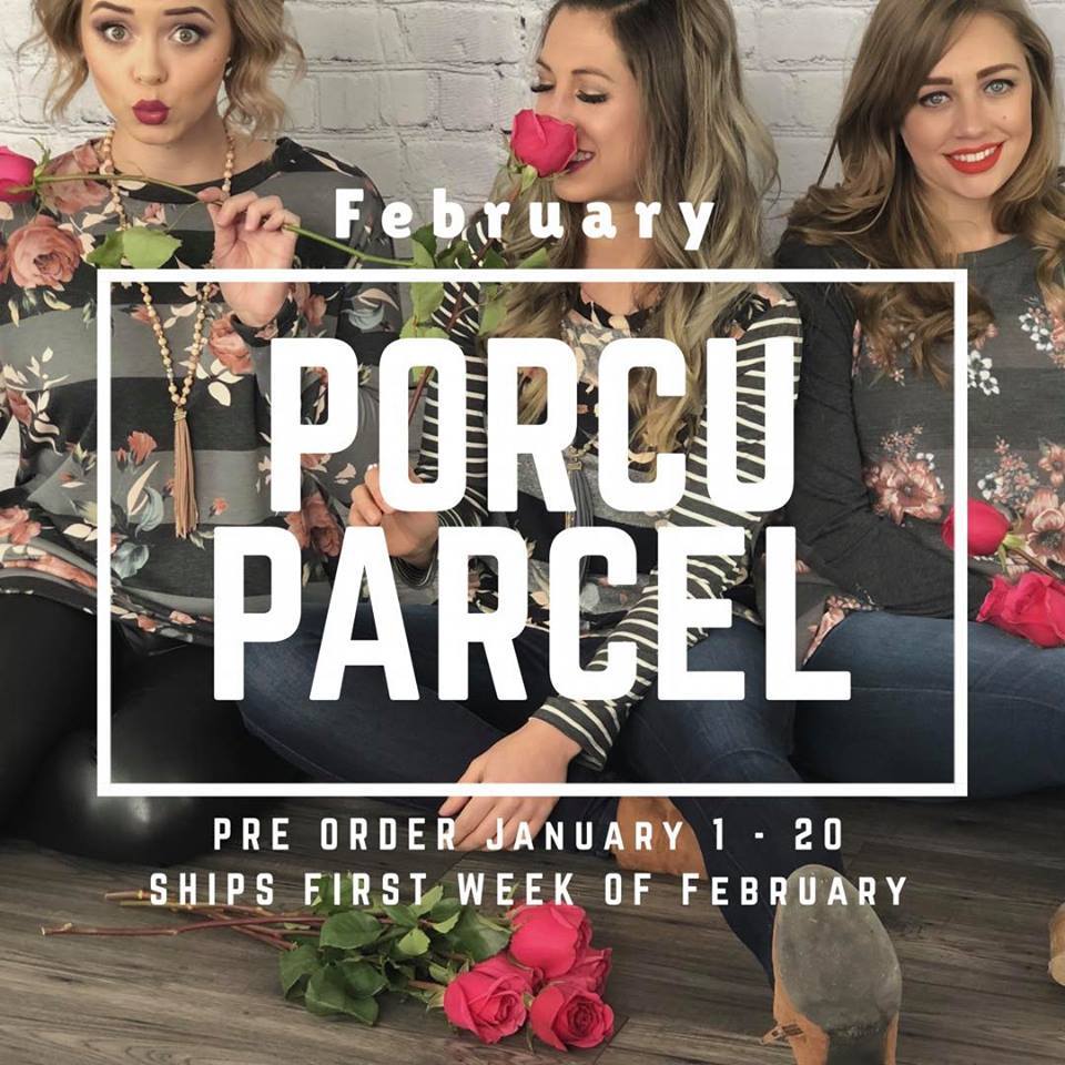 The Porcuparcel Style Box - February 99999981423