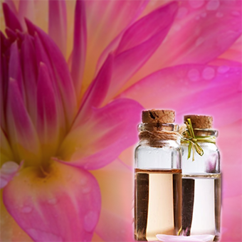 Flores de Bach con Lectura Clarividente LECLD001