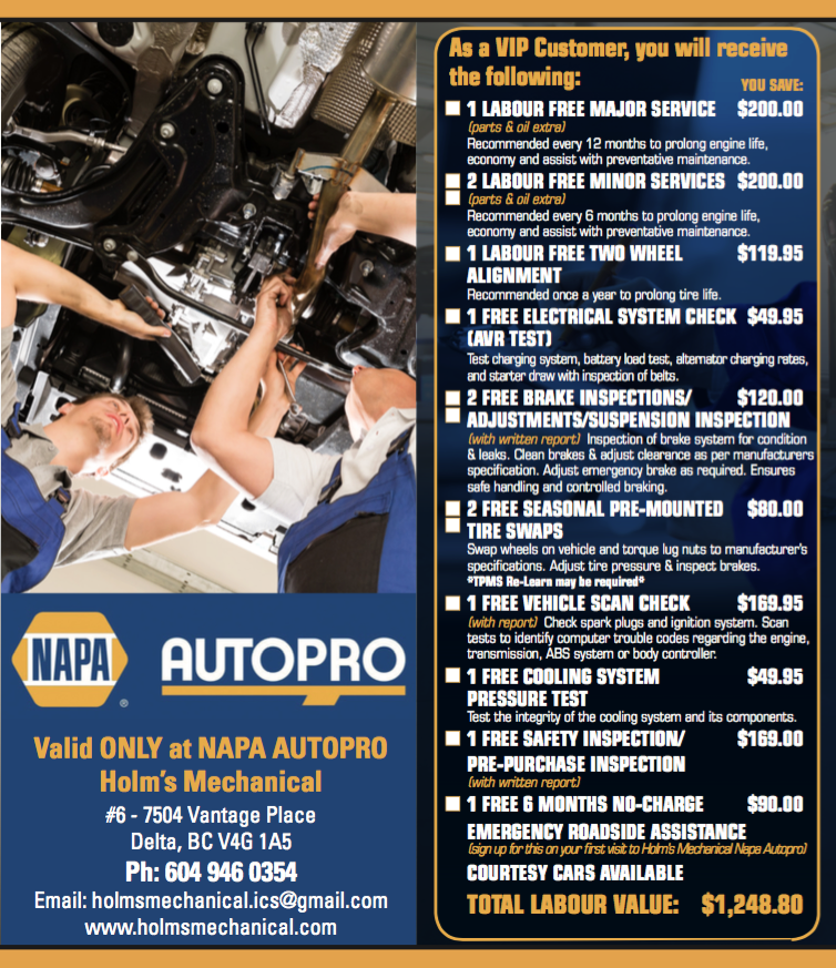 Holm's Mechanical Napa Autopro (Delta) 1000
