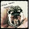 Prickle Farms's store