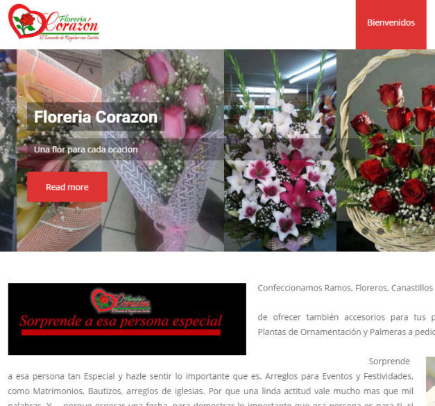 Sitio Corporativo