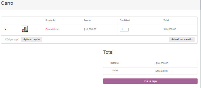 Sitio Web Comercio Electronico
