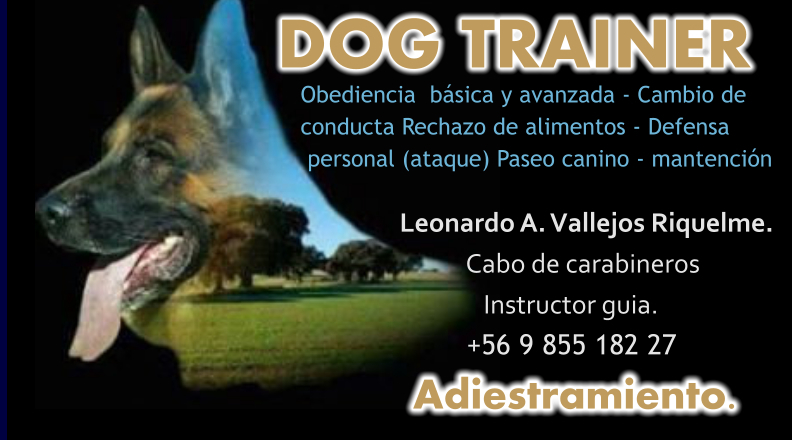 Tarjetas de presentacion