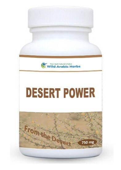 Desert Power Desert Power