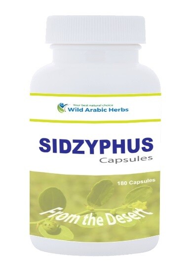 Sidzyphus Sidzyphus