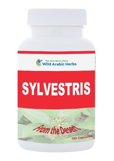 Sylvestris Sylvestris