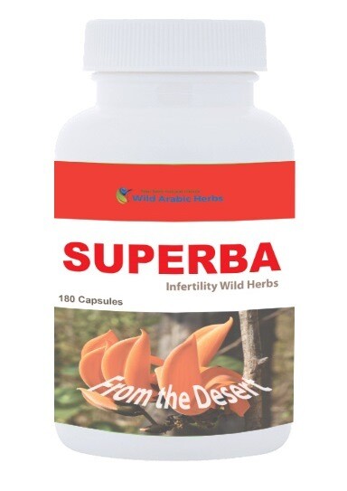 Superba Superba