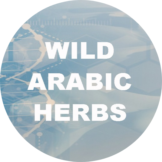 Wild Arabic Herbs