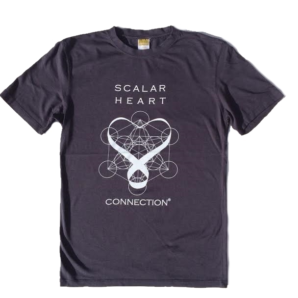 Men Organic Bamboo & Cotton T-shirt: Scalar Heart Connection 00629