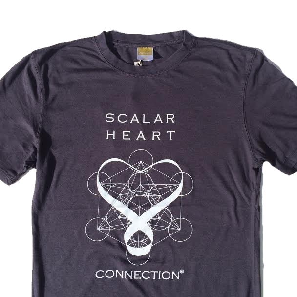 Men Organic Bamboo & Cotton T-shirt: Scalar Heart Connection