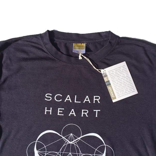 Men Organic Bamboo & Cotton T-shirt: Scalar Heart Connection