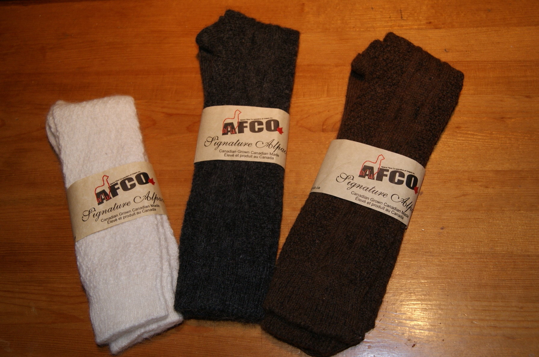 Dress Socks DS