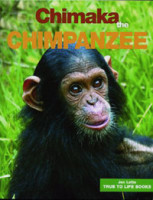 Chimaka The Chimpanzee 00012