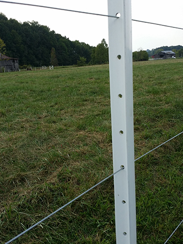 8' x 1.75" T-Post 8' x 1.75" T-Post