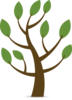 HolyLandTree.com