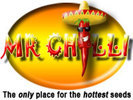 Mr Chilli