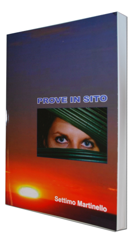 Prove in sito - 280 pagine 4
