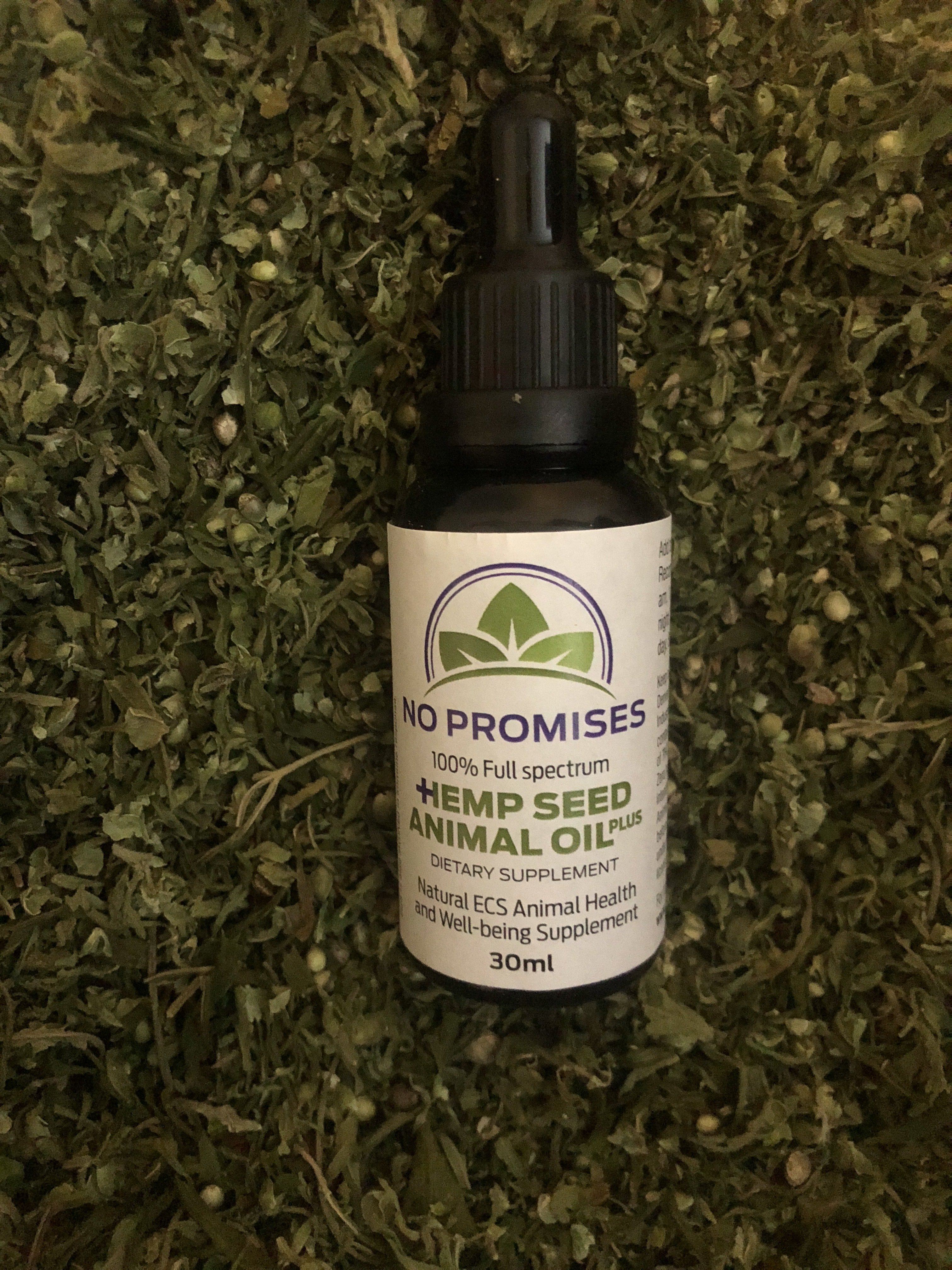 No Promises Hemp Plus + 30ml 00033