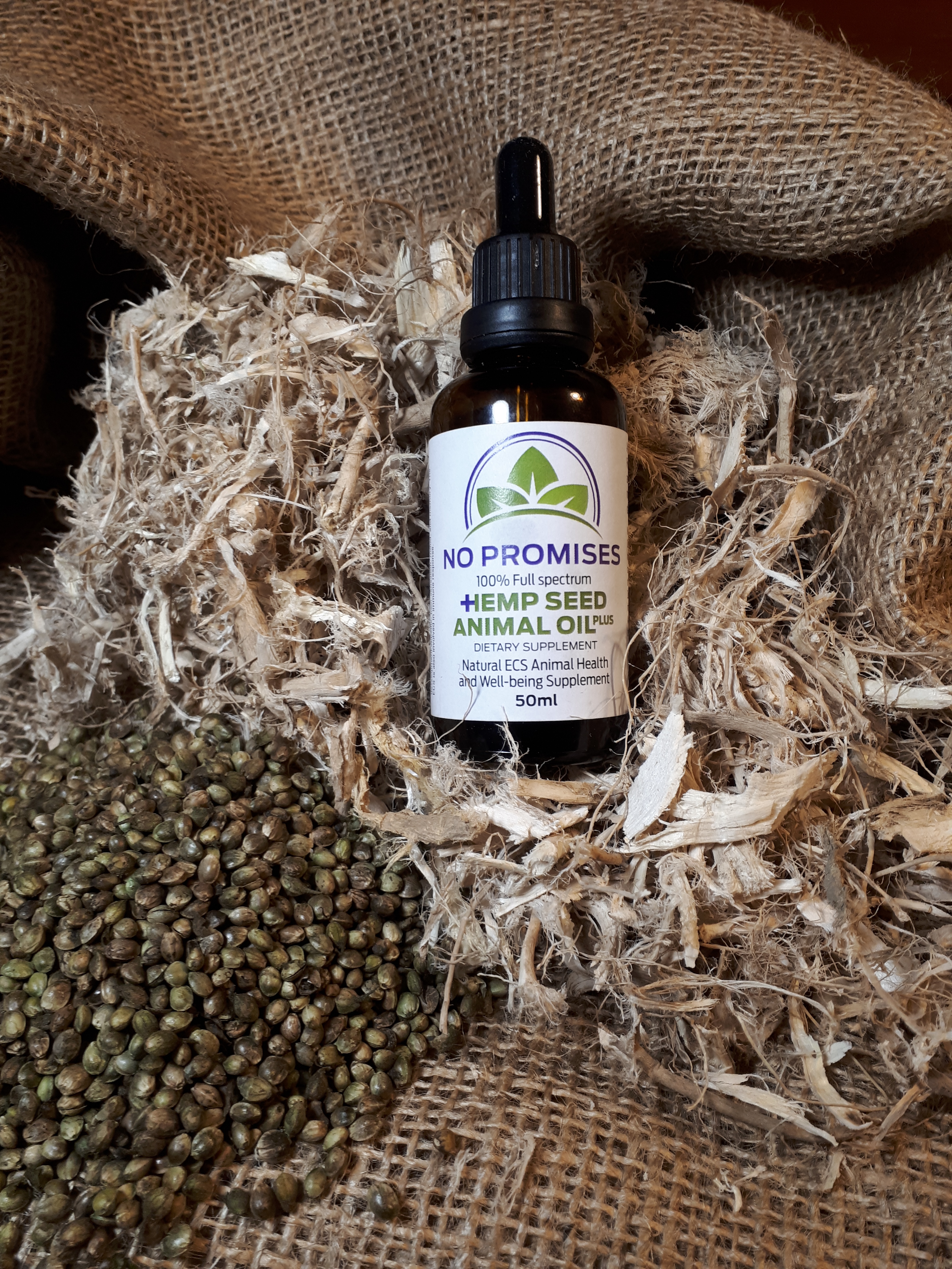 No Promises Hemp oil plus 100ml 00043
