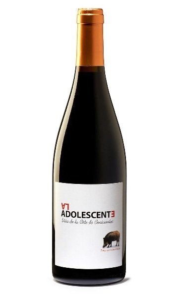 La Adolescente. Añada 2015 000103
