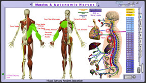 Neuropatholator Touch - Core 02