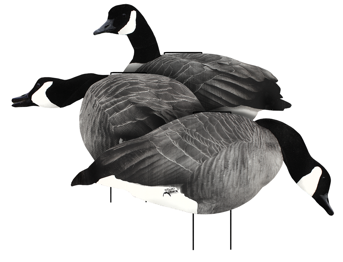 canada goose logo transparent canada goose logo transparent
