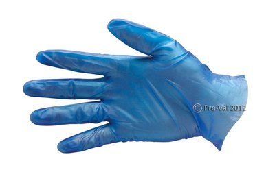 W- L-BLUVIN-PF  Vinyl Gloves Large P/F x 10