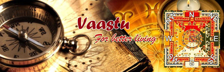 Option A: Basic Vastu Analysis Report for under constructed Plots with Alok Jagawat