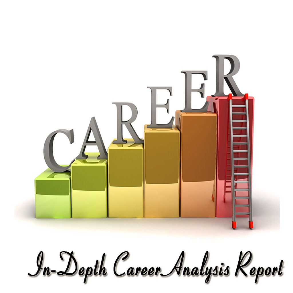 Option O : Advance Career, Education, Financial, Business and Life Analysis Report (Multiple Queries | Voice Mode) 00001ACEFLAR