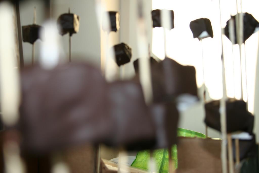 Dipped Chocolate