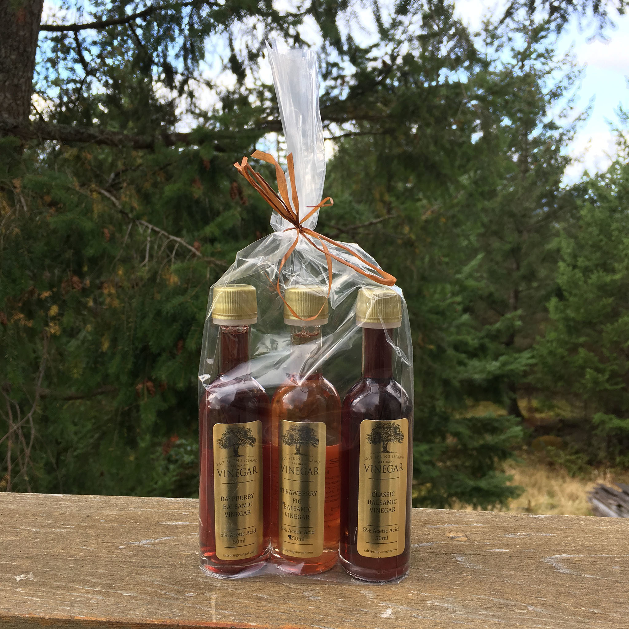 Gift Bag: Fruit Balsamic Vinegar 00002