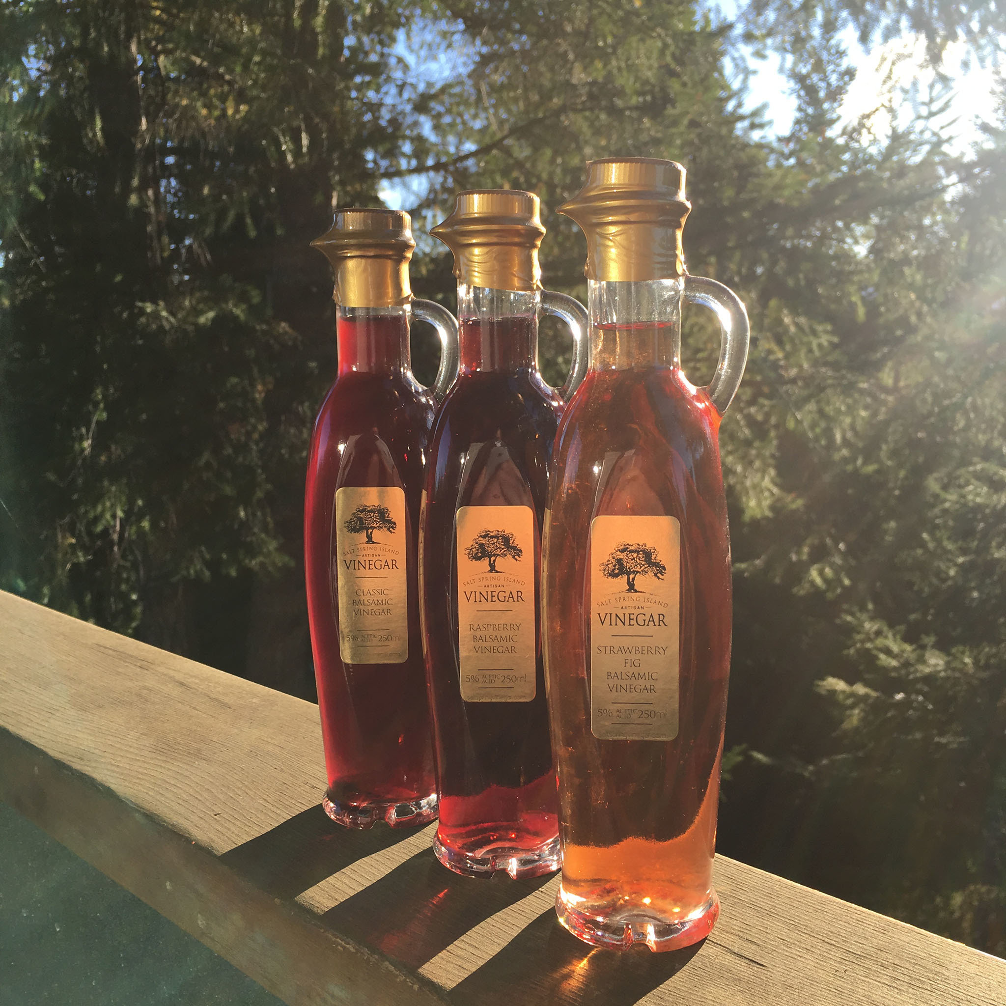 Fruit Balsamic Vinegars 250ml 0000001