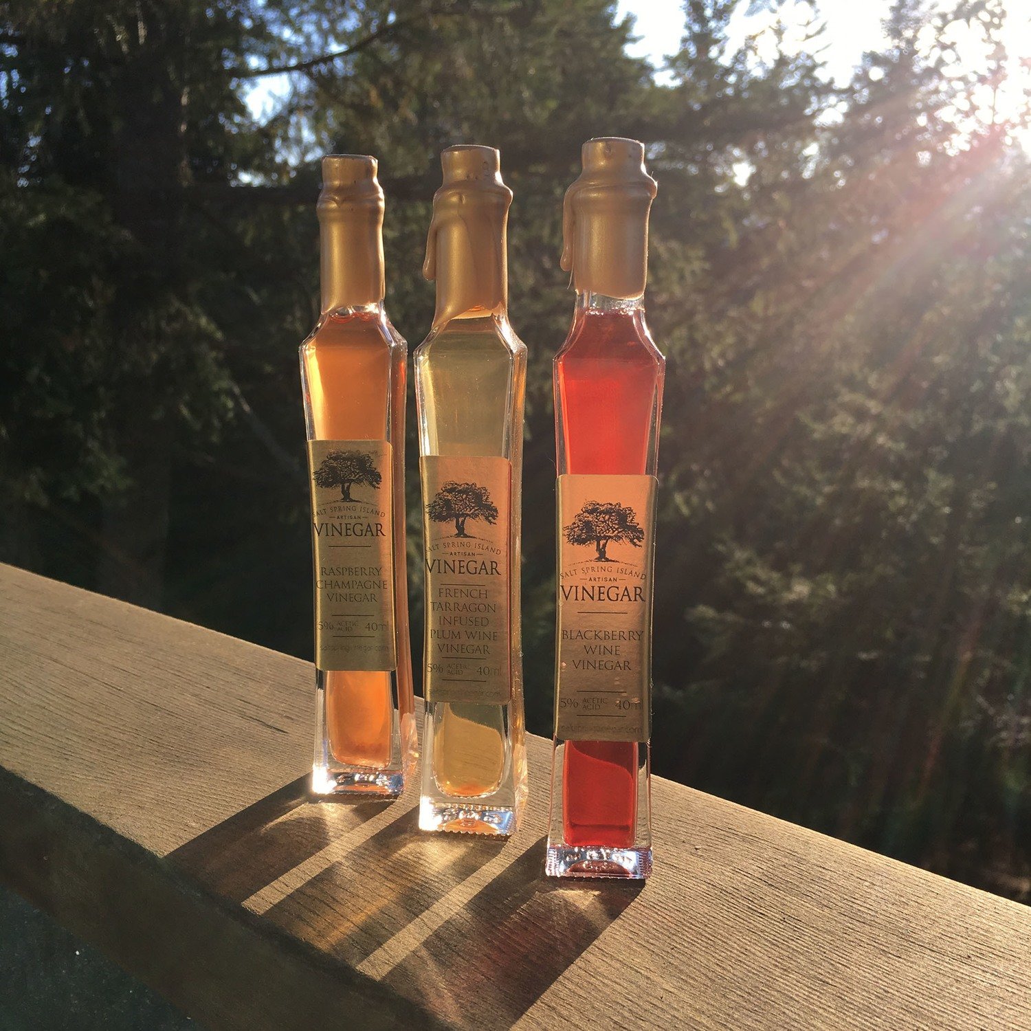 Fruit Wine Vinegars 40ml Fruit Wine Vinegars 40ml