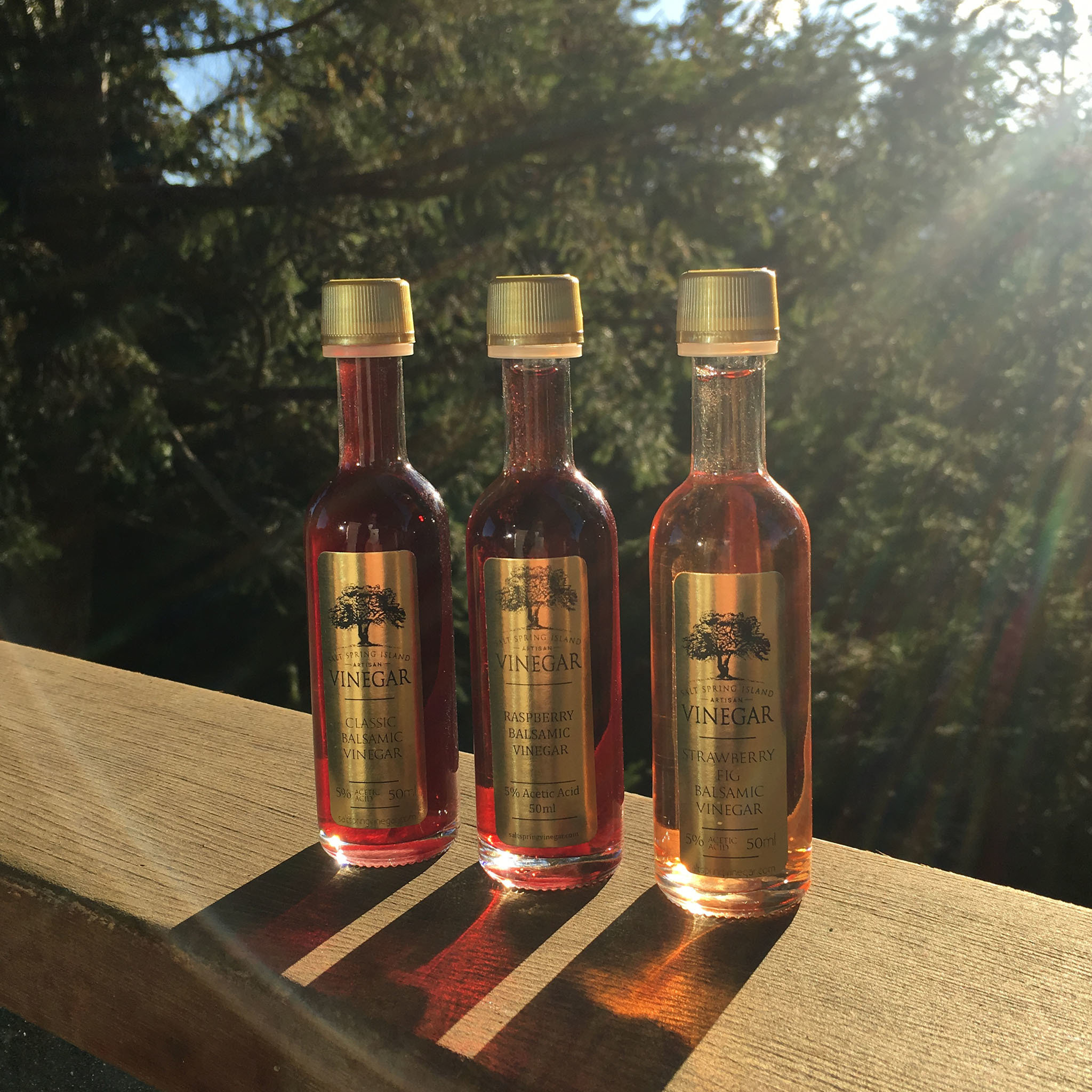 Fruit Balsamic Vinegars 50ml 00000
