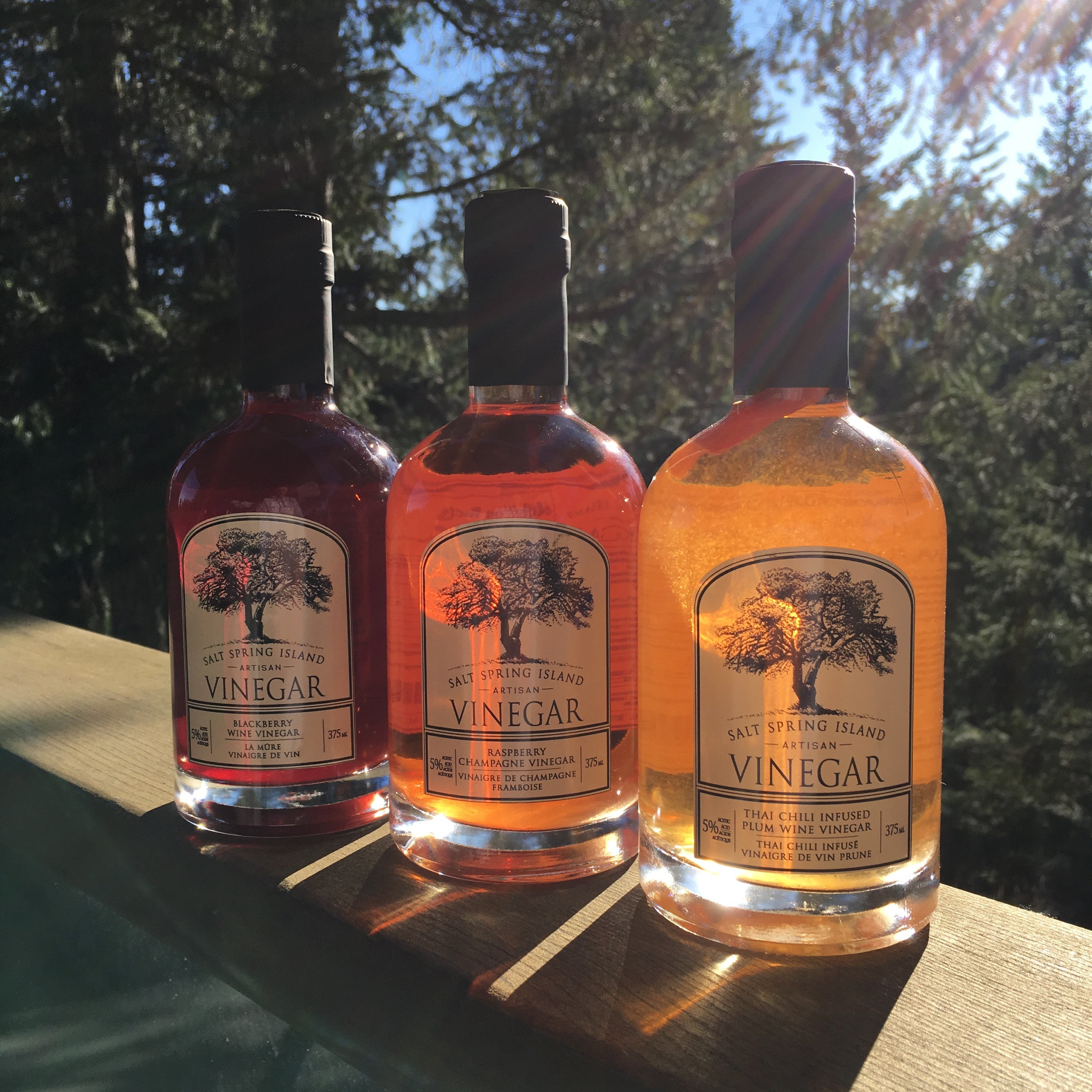 Fruit Wine Vinegars 375ml 00005