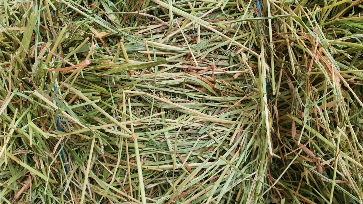 Meadow Rye Grass Hay 2.5kg