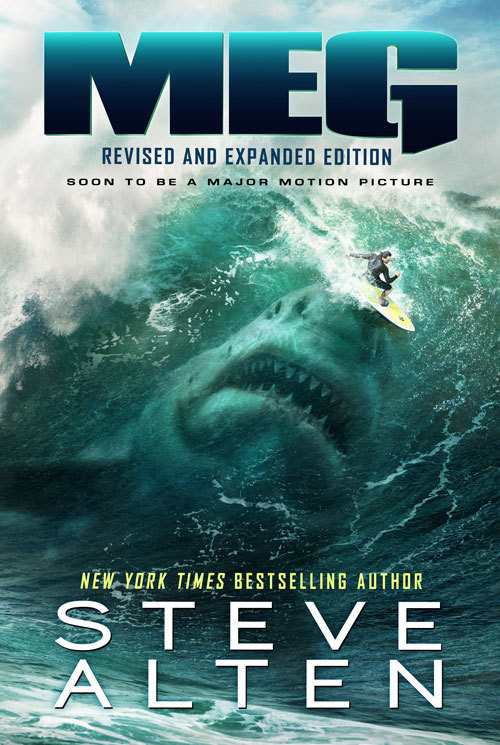 MEG Surfer Poster 0007