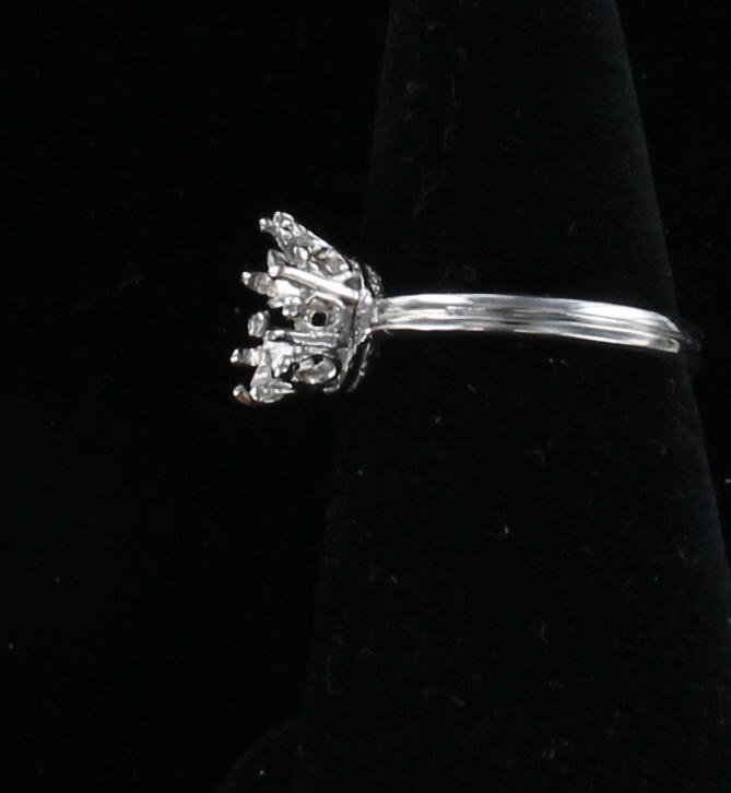 PLATINUM MOUNTING
