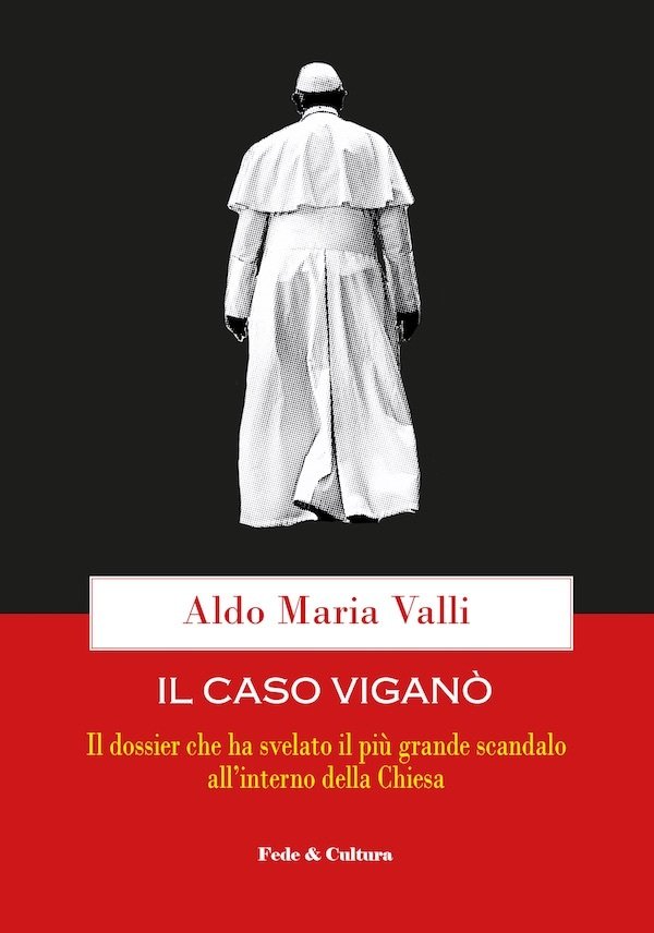 Il caso Viganò Il caso Viganò