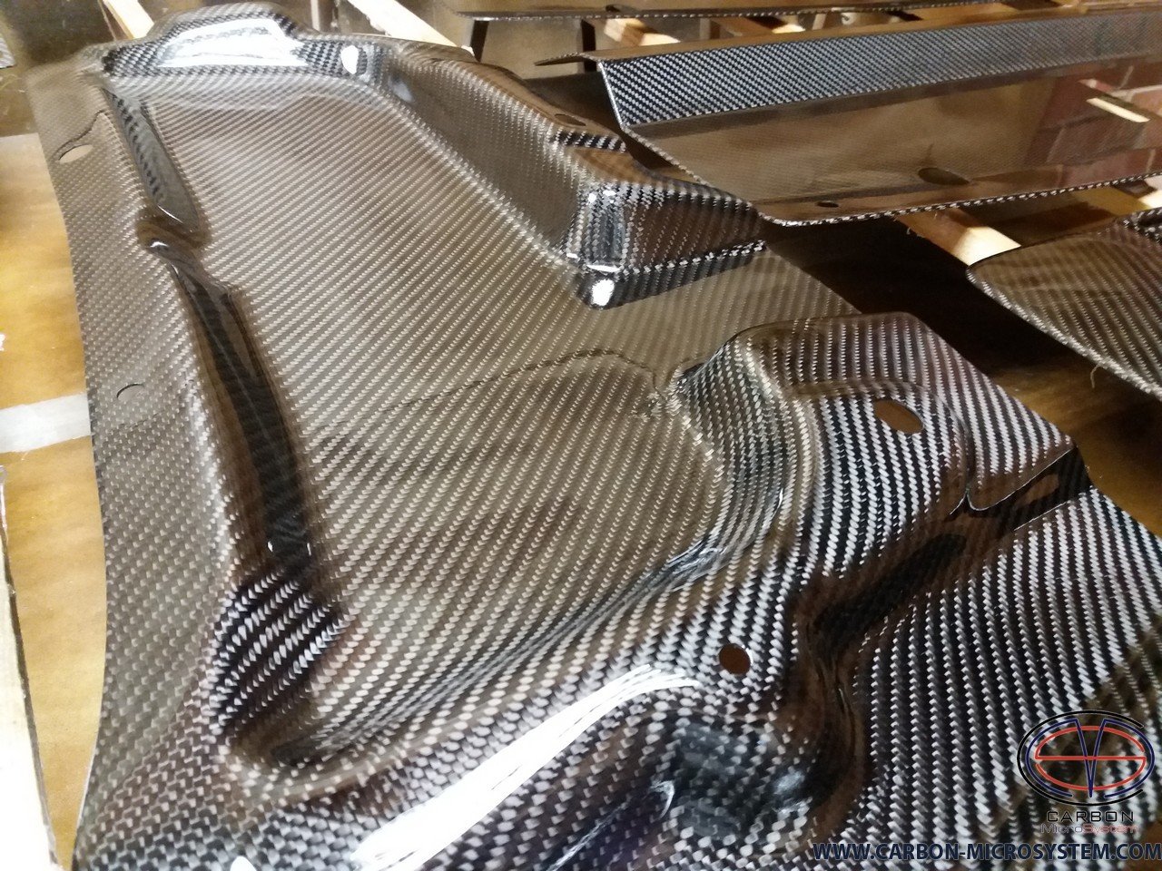 Carbon Fiber Bonnet Rain guard