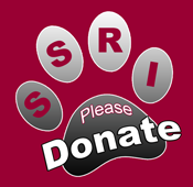 Donation Donation