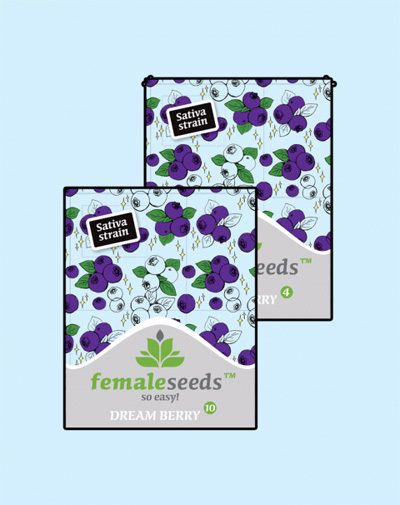 Female Seeds - Dream Berry (fem.)